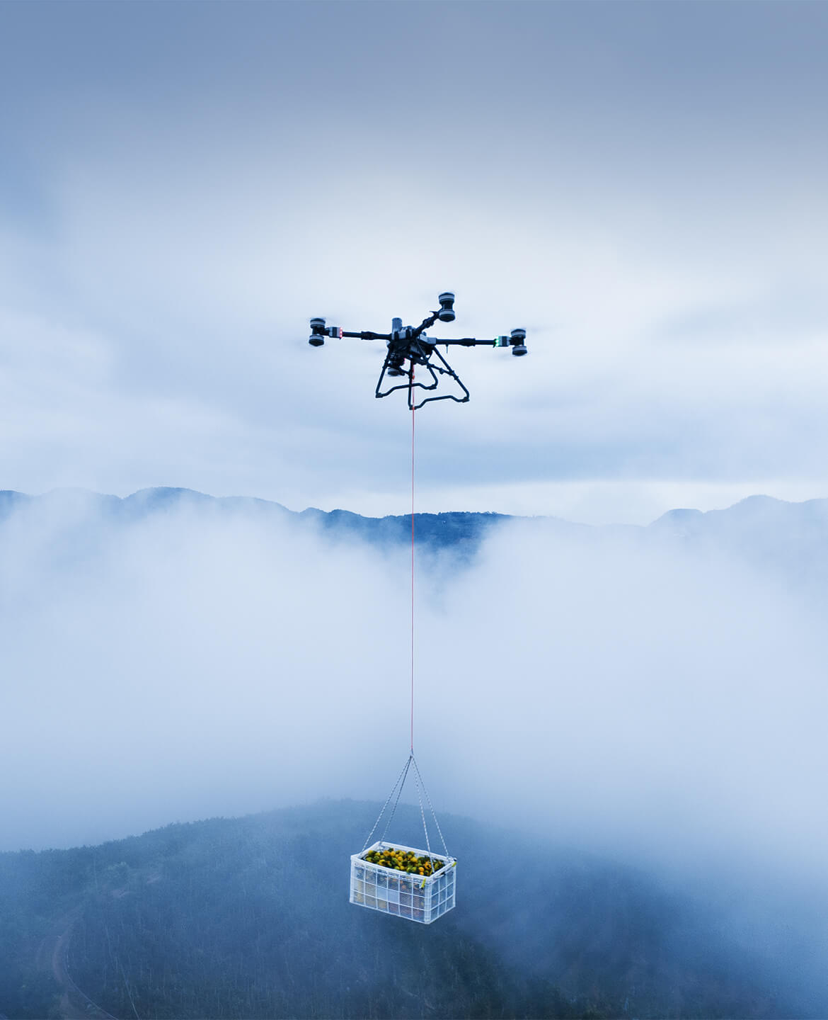 DJI Agras T100 Combo — фото 4