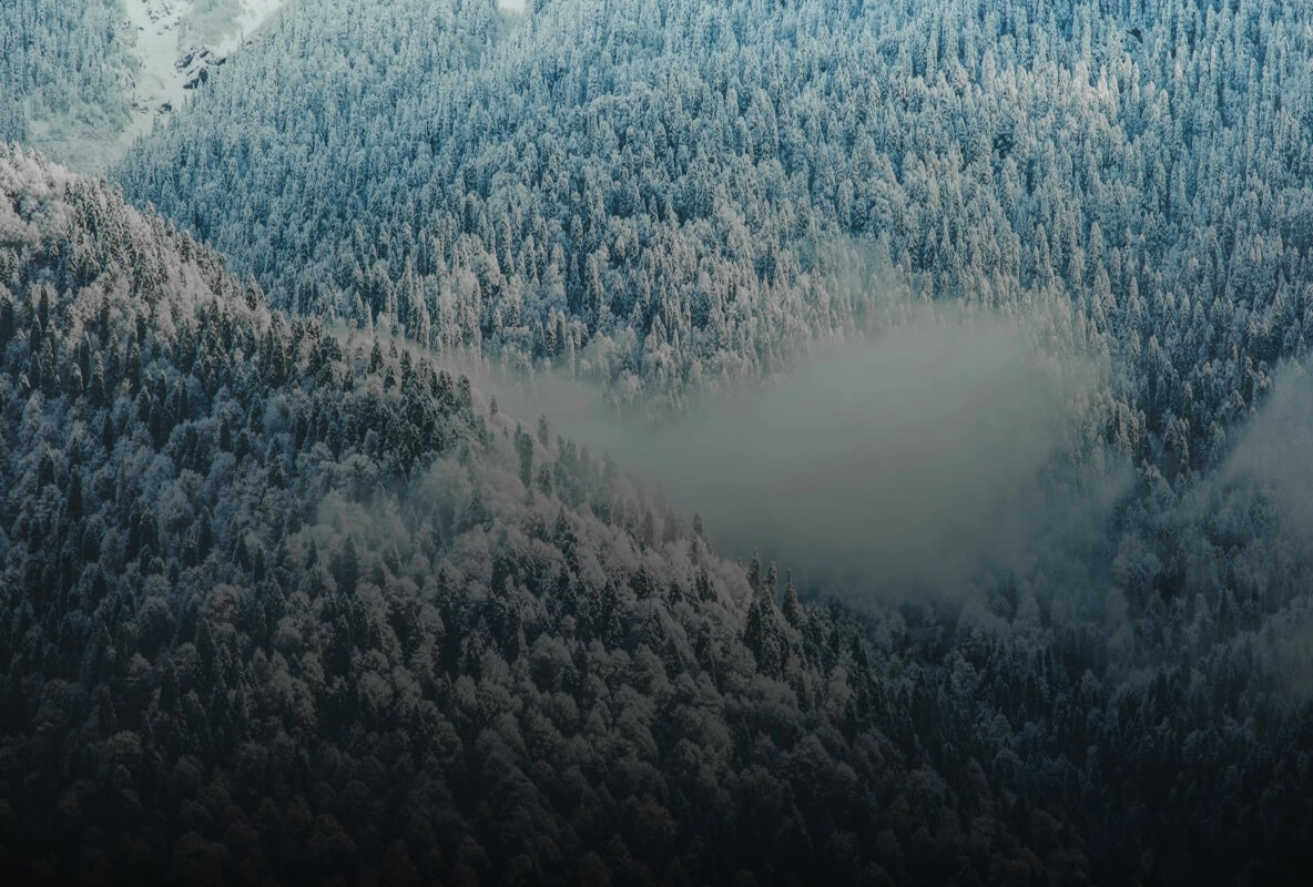 DJI Mavic 2 Enterprise Advanced — фото 13