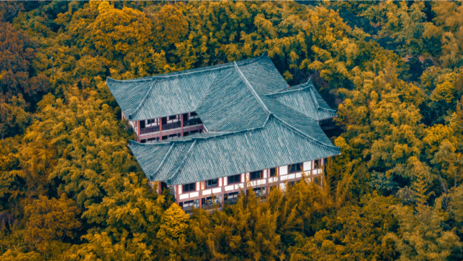 DJI Mavic 3 Standard (Aircraft) — фото 7