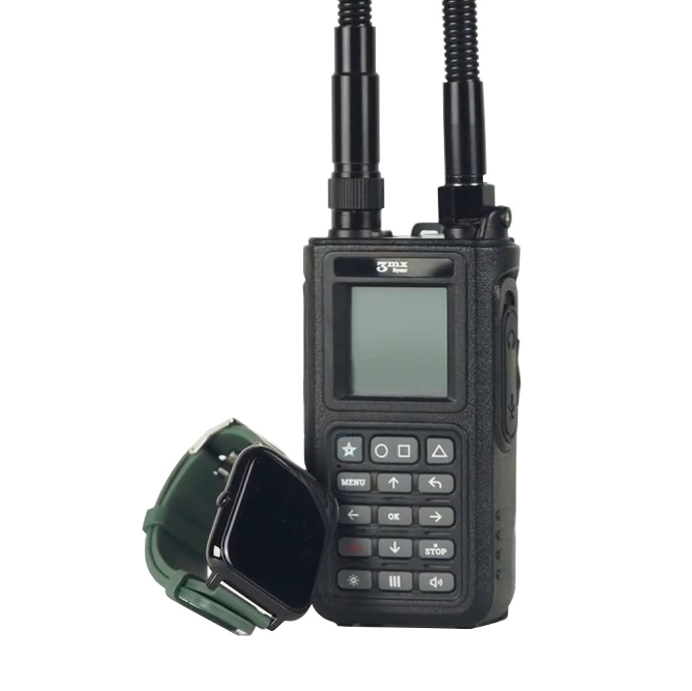 Часы «Таир» к детектору «Булат» V4